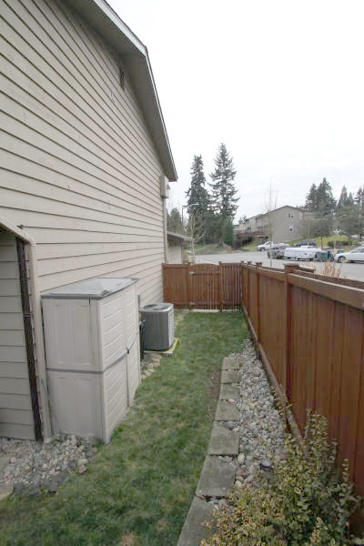 Lower level fireplace